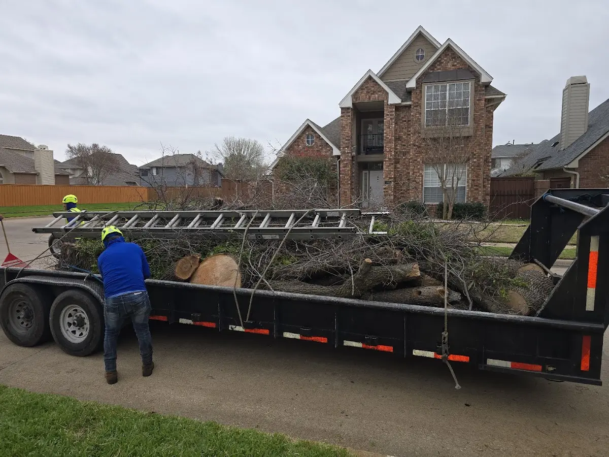 Expert Crown Reduction with proper safety equipment in Lake Benton